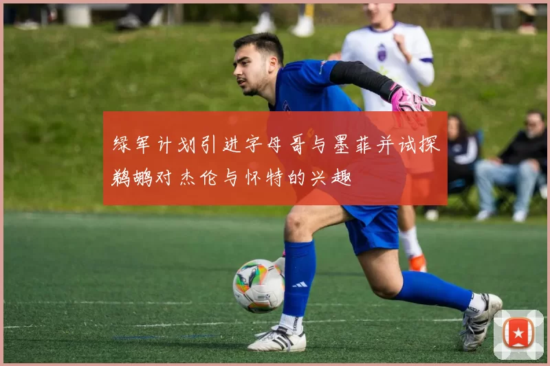 绿军计划引进字母哥与墨菲并试探鹈鹕对杰伦与怀特的兴趣